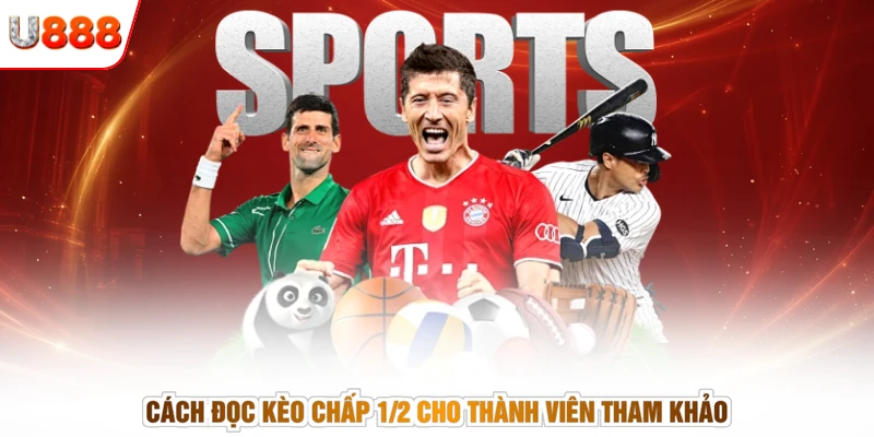 Cách đọc kèo chấp 1/2 cho thành viên tham khảo