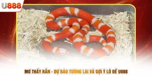 Mơ Thấy Rắn - Dự Báo Tương Lai Và Gợi Ý Lô Đề U888