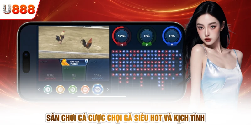 Sân chơi cá cược chọi gà siêu hot và kịch tính
